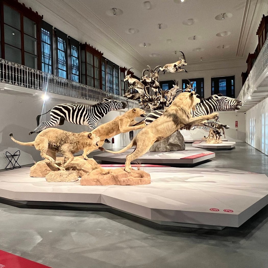 Museu Centre Martorell d'Exposicions 2