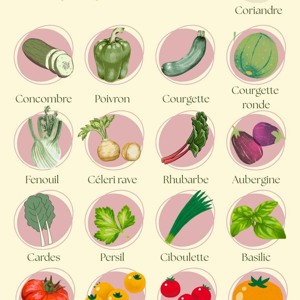 Affiche des plantations estivales du potager 1