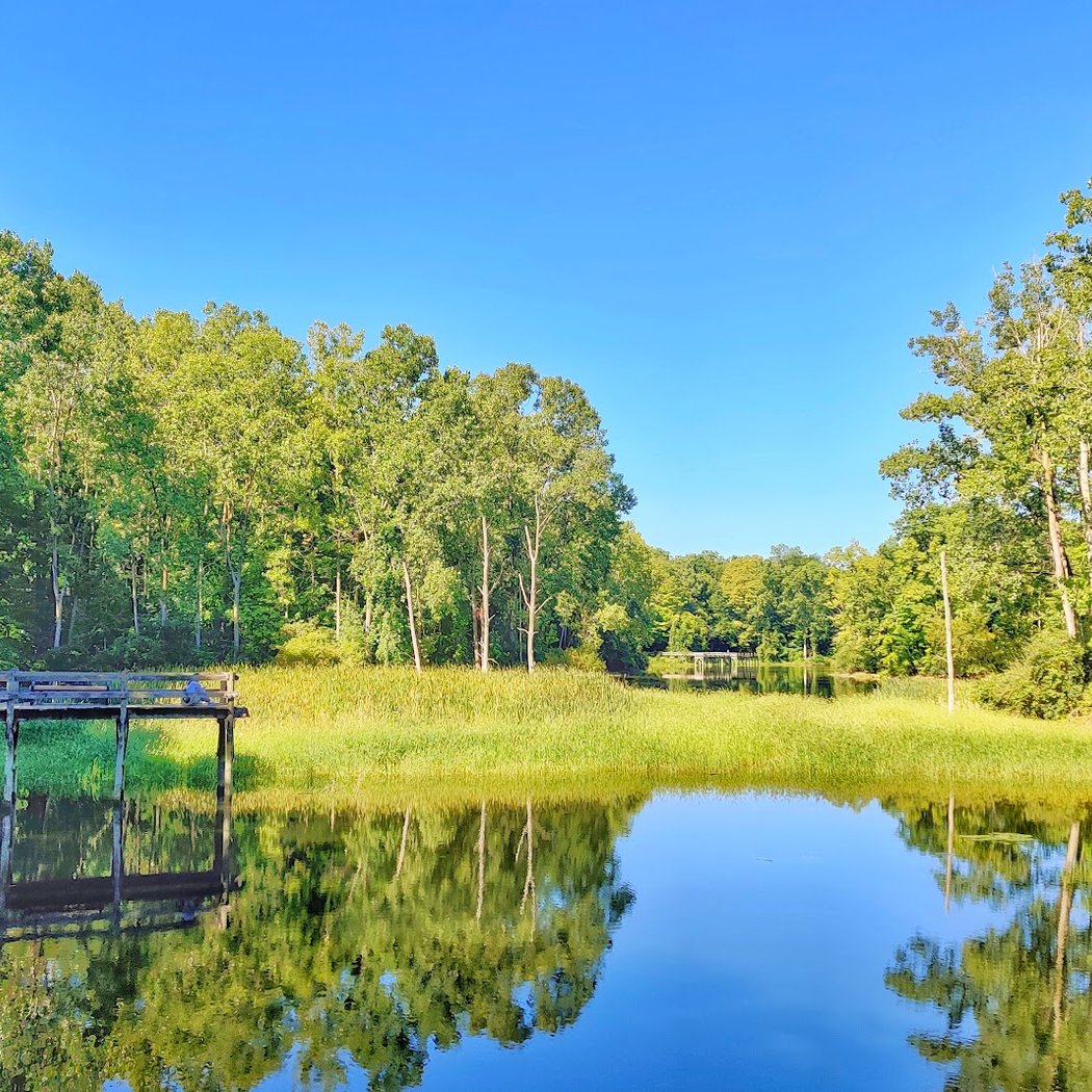 Maybury State Park 1