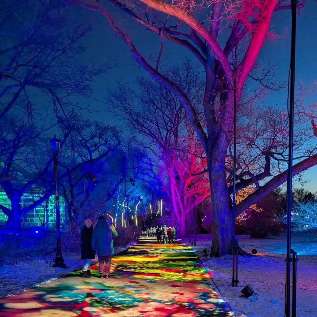 Glowing Art Trail at Brooklyn Botanic Garden 1