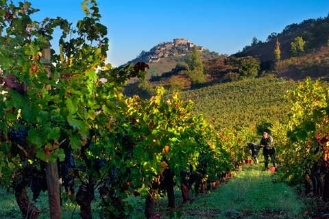 Domaine Matha 3