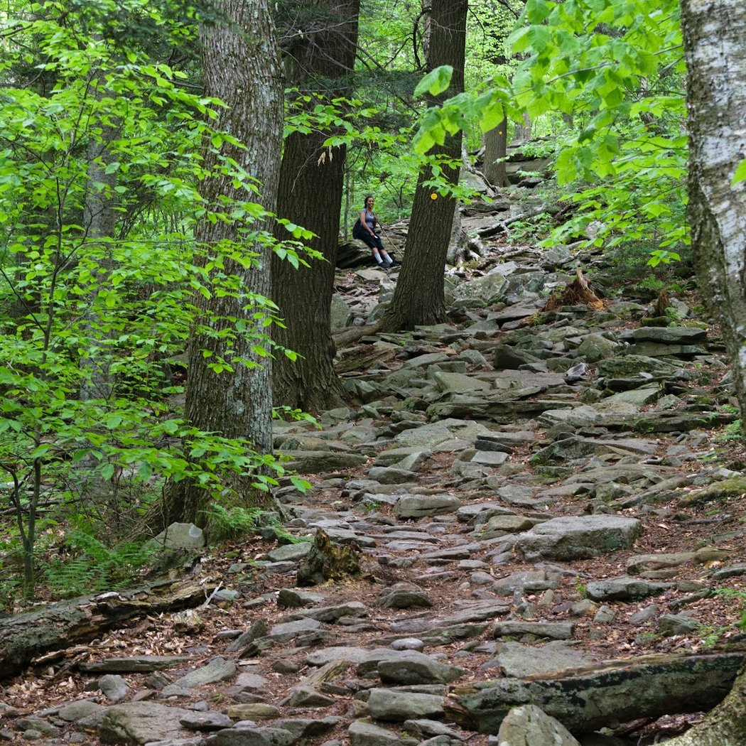 Sprain Ridge Park 1