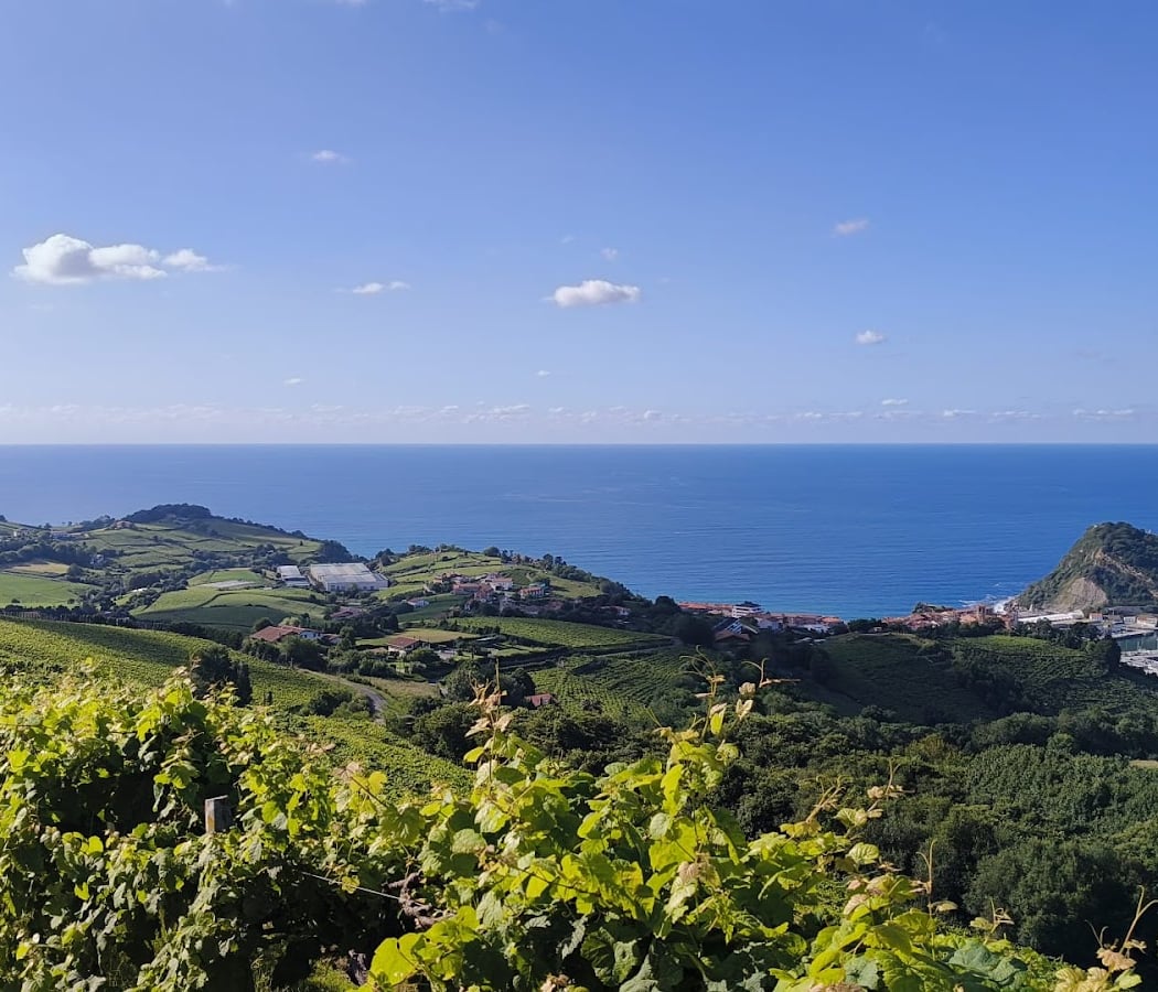 San Sebastian Guided Tours 3