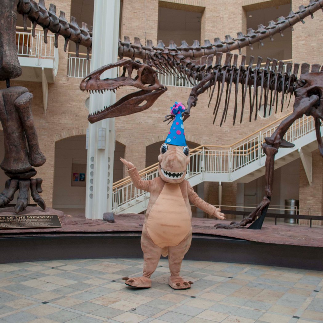 Dinosaur Birthday Bash 1