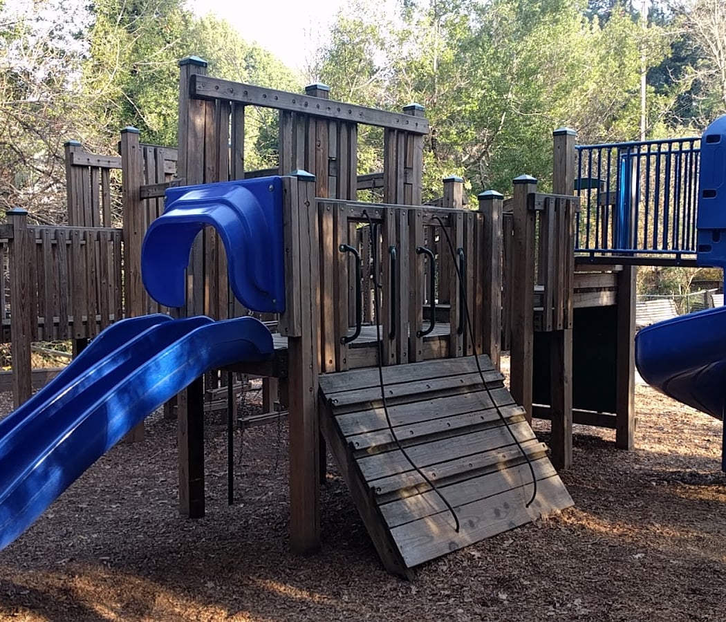 Nature Playgroup with Snails and Turkey Tails 2