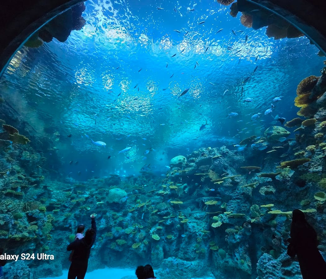 Seattle Aquarium Ocean Pavilion 1