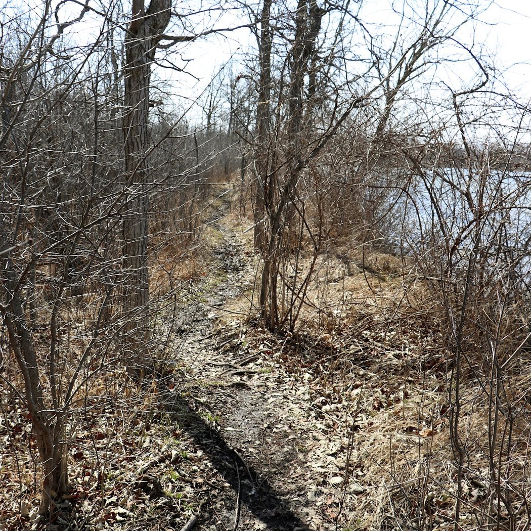 APRIL FOOLS' Marathon & 5.5K 1