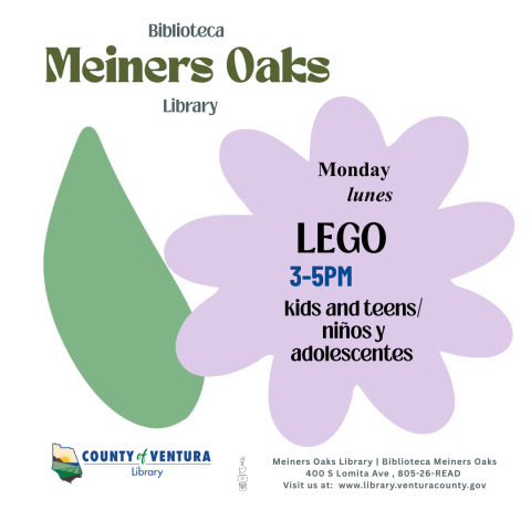 Meiners Oaks LEGO Monday 1