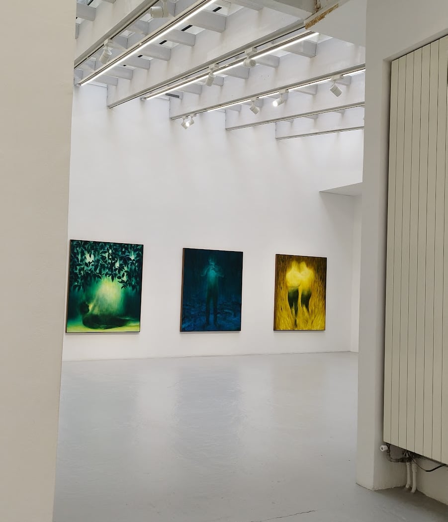 Aneta Kajzer: Too Close to the Sun 2