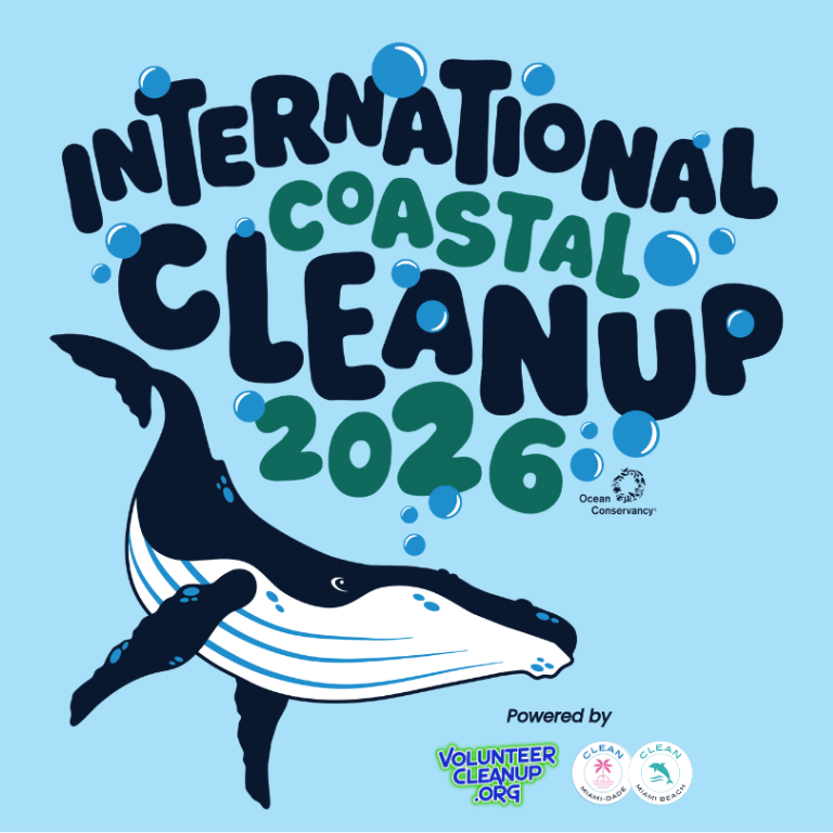 73rd Street Beach Cleanup 2