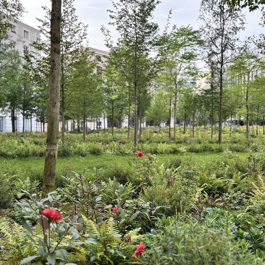 Jardin des Colonnes 3