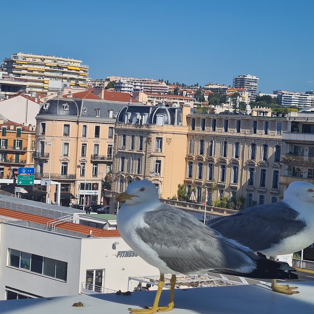 Cannes 3