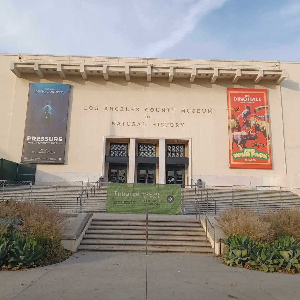 Kick-Off at NHM: Soccer Connections 3