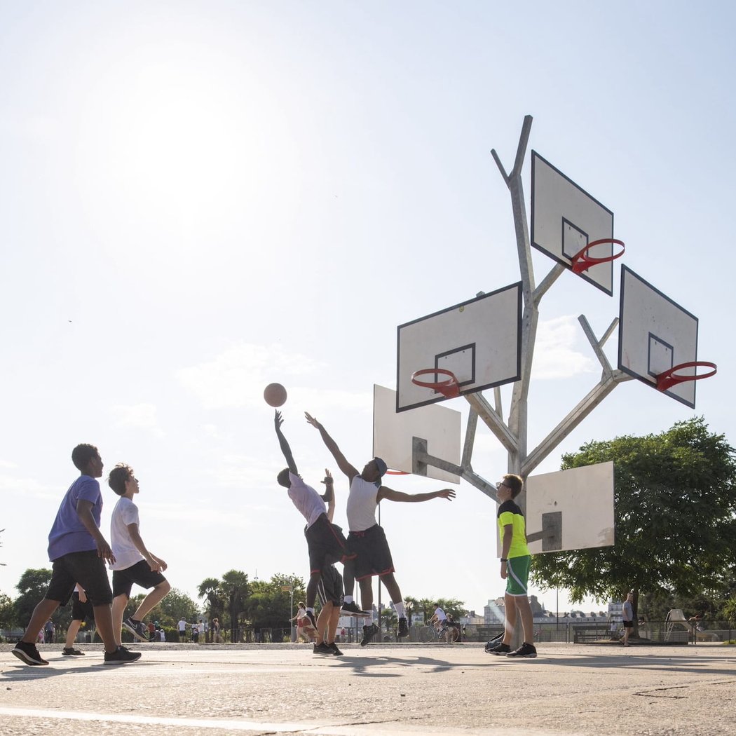 L'arbre à basket 1