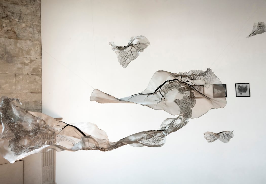 Galerie Nathalie Béreau 1