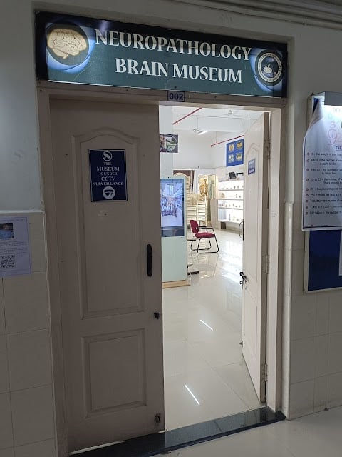 NIMHANS Brain Museum 3