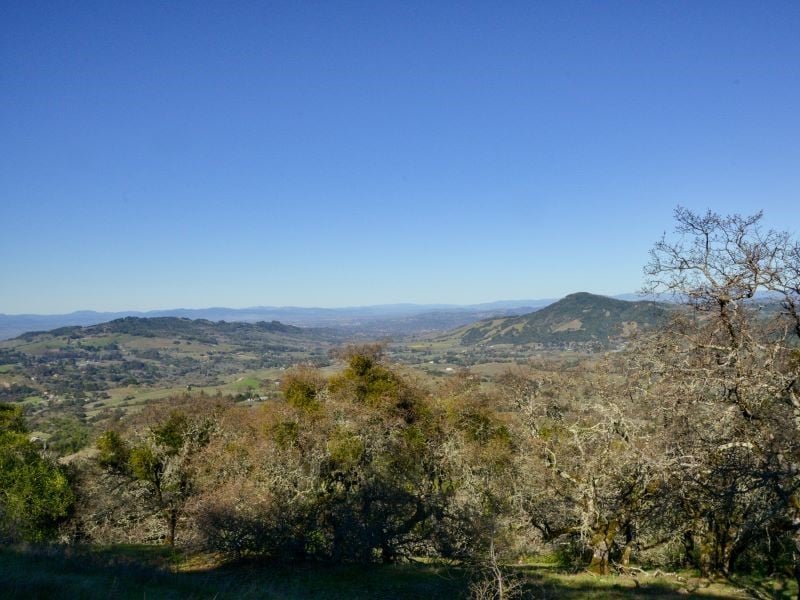 North Sonoma Mountain Regional Park 3