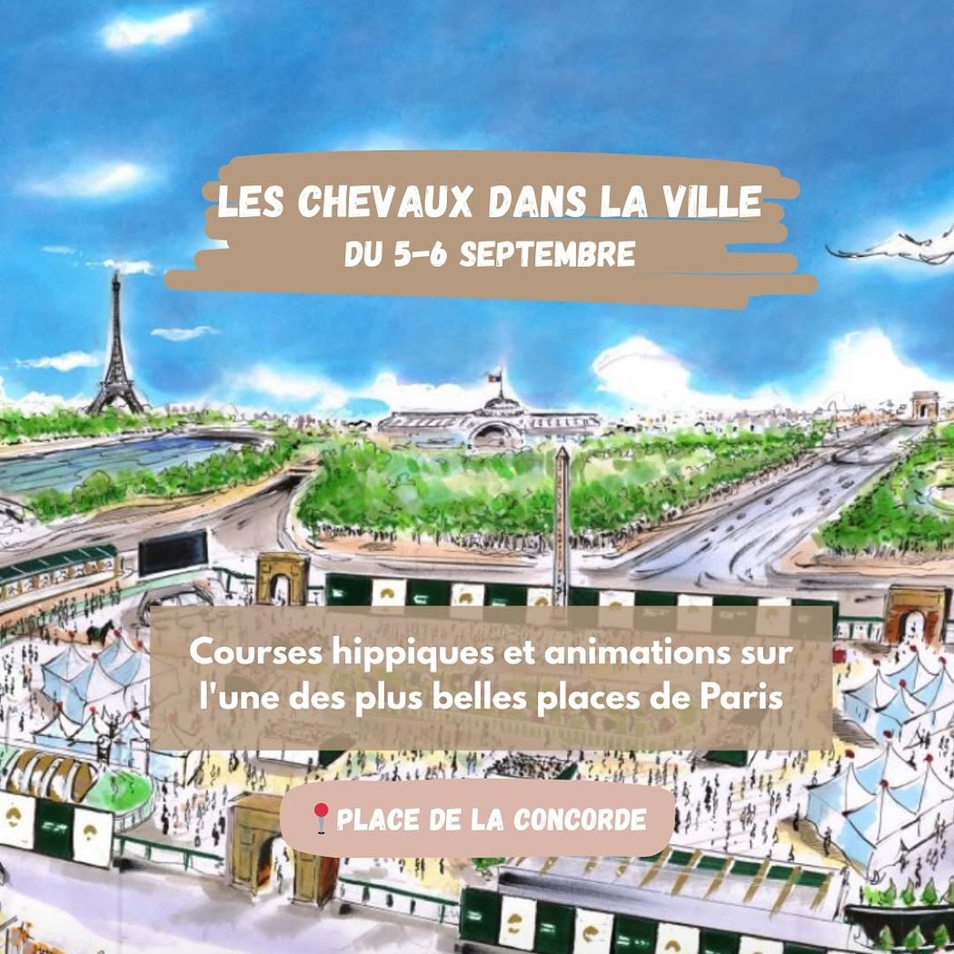 Les chevaux dans la ville 1