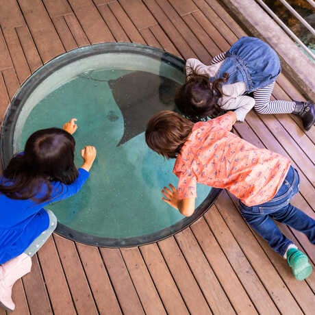 California Academy of Sciences 4