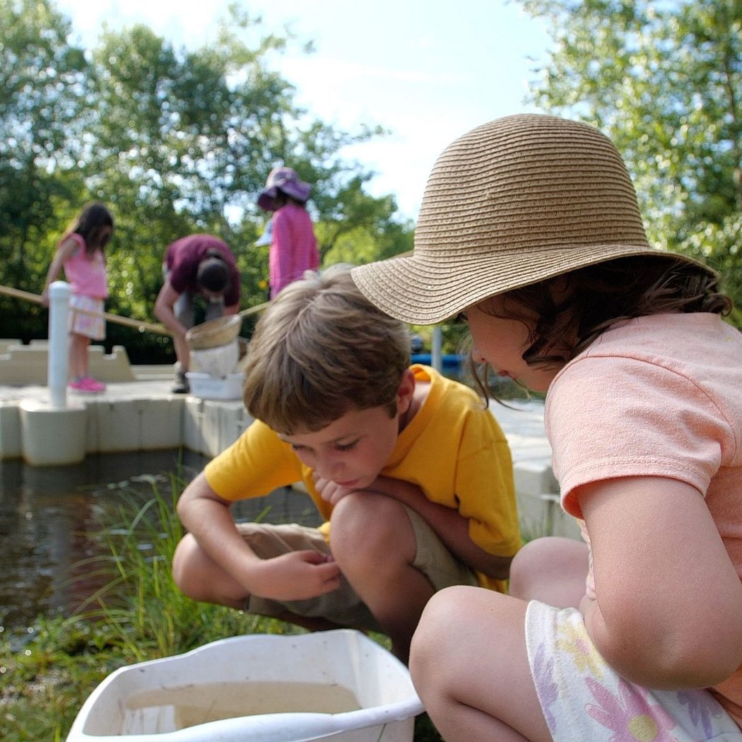 Backyard Safari for PreK Pathfinders 3