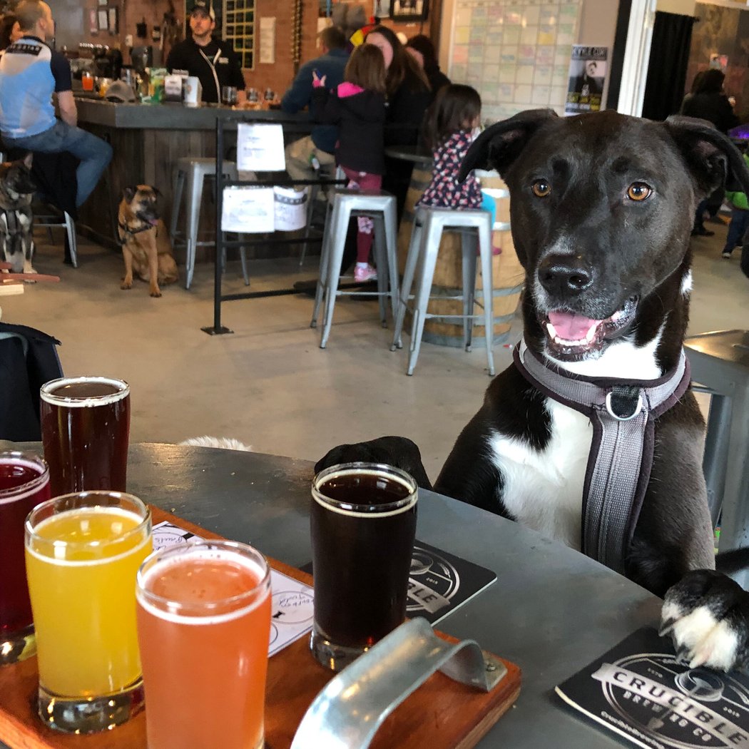 Sit, Sip, Stay 1