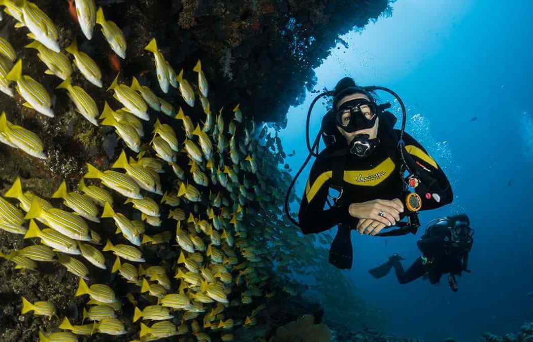SoCal Dive Meetup 1