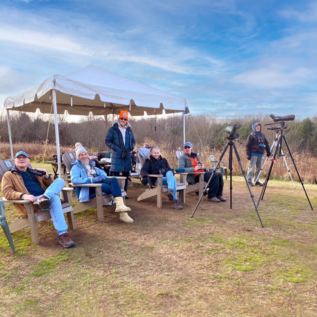 Hawk Watch 3