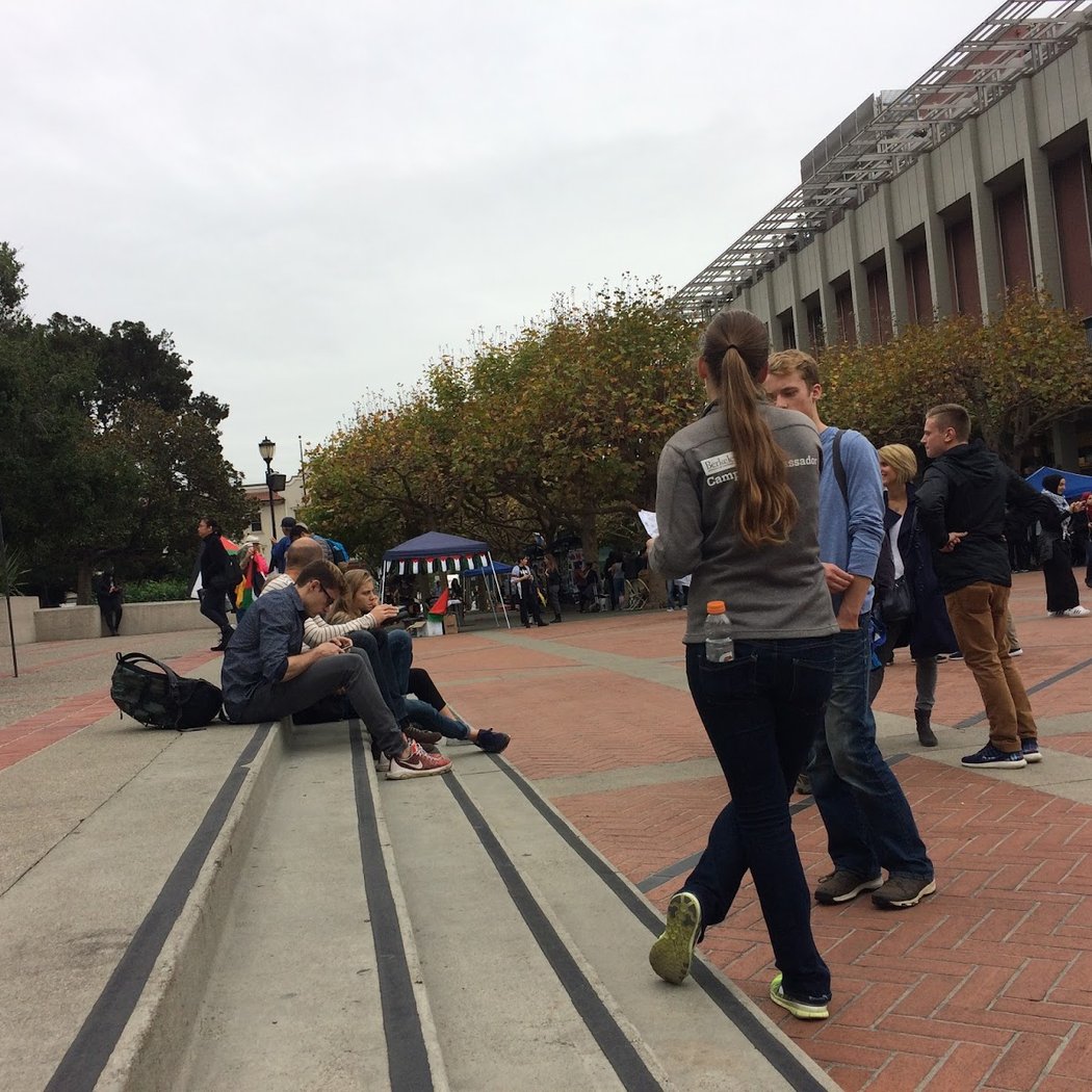 Berkeley in the '60s 2