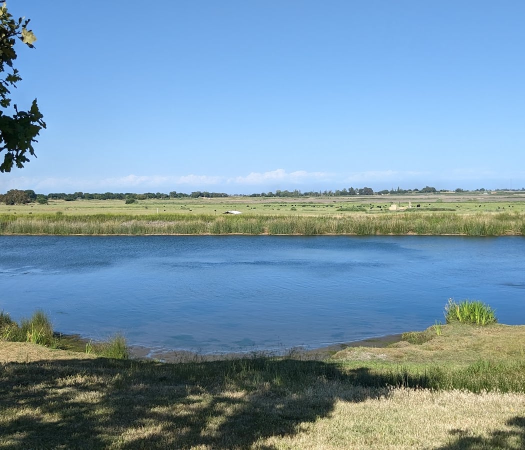 Brannan Island State Recreation Area 2