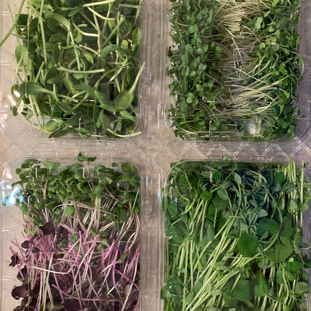 Ecobay Farms 1