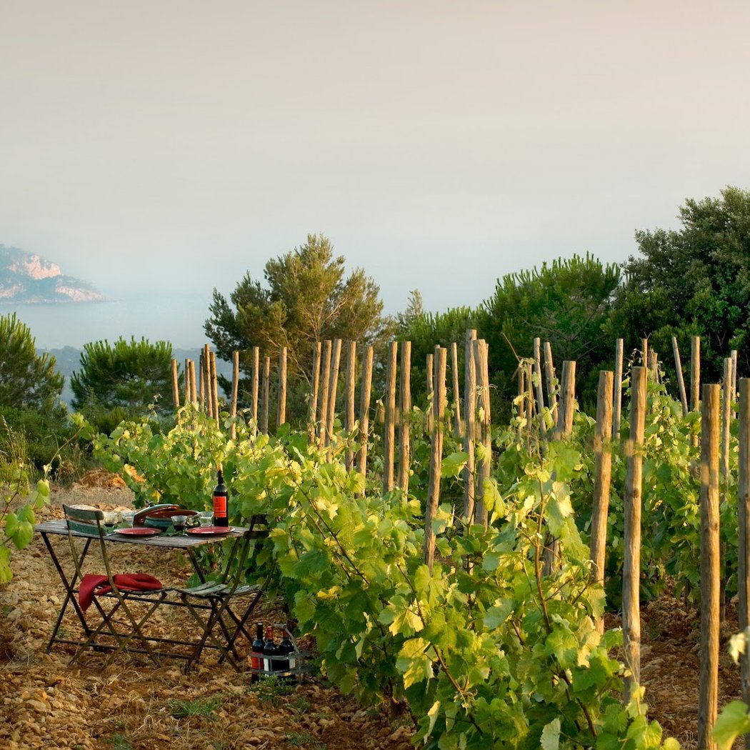 Domaine de la Bégude 1