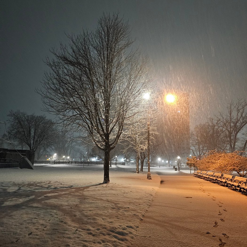 Asser Levy Park 1