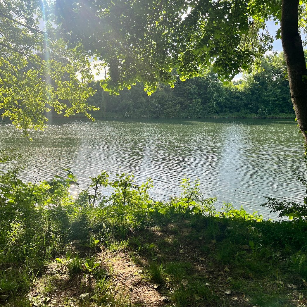 Parc des Bords de Seine 4