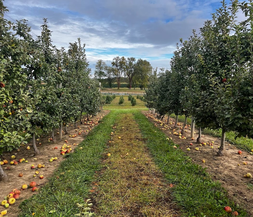Eckert's Pick Your Own Belleville Farm 3