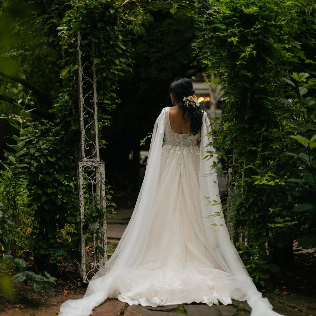 The Wedding Dresser 3