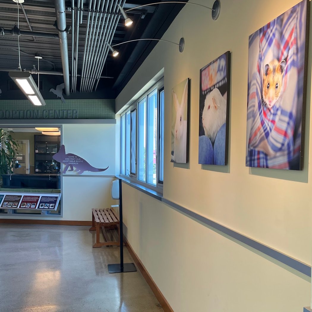 Peninsula Humane Society & SPCA Adoption Center 3