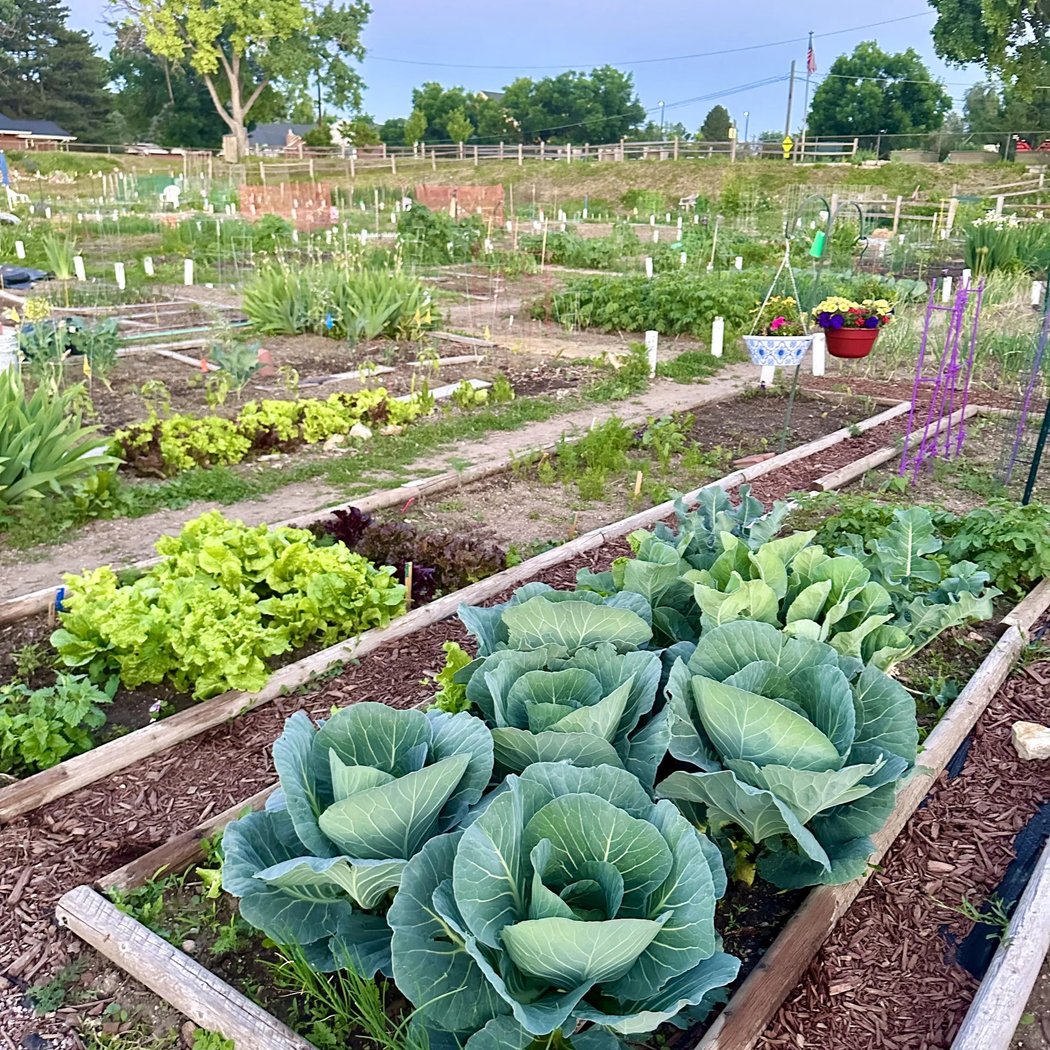 Saturday Garden Tour