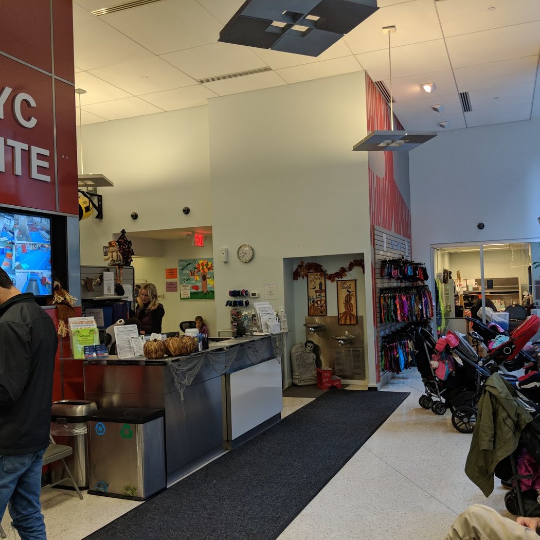 NYC Elite Gymnastics 3
