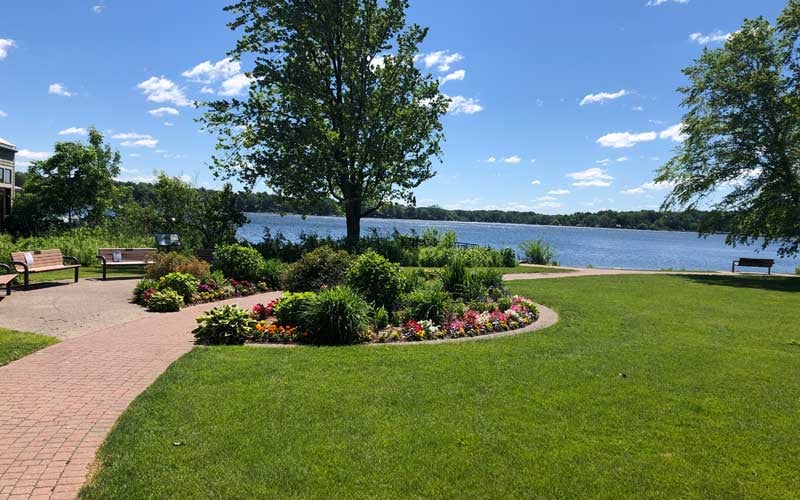 John Collins Park 1