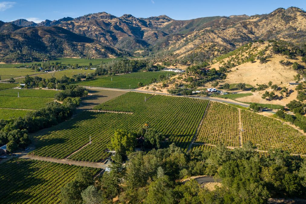 Canard Vineyard 2