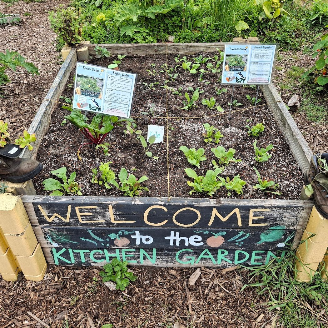 Children’s Garden 3