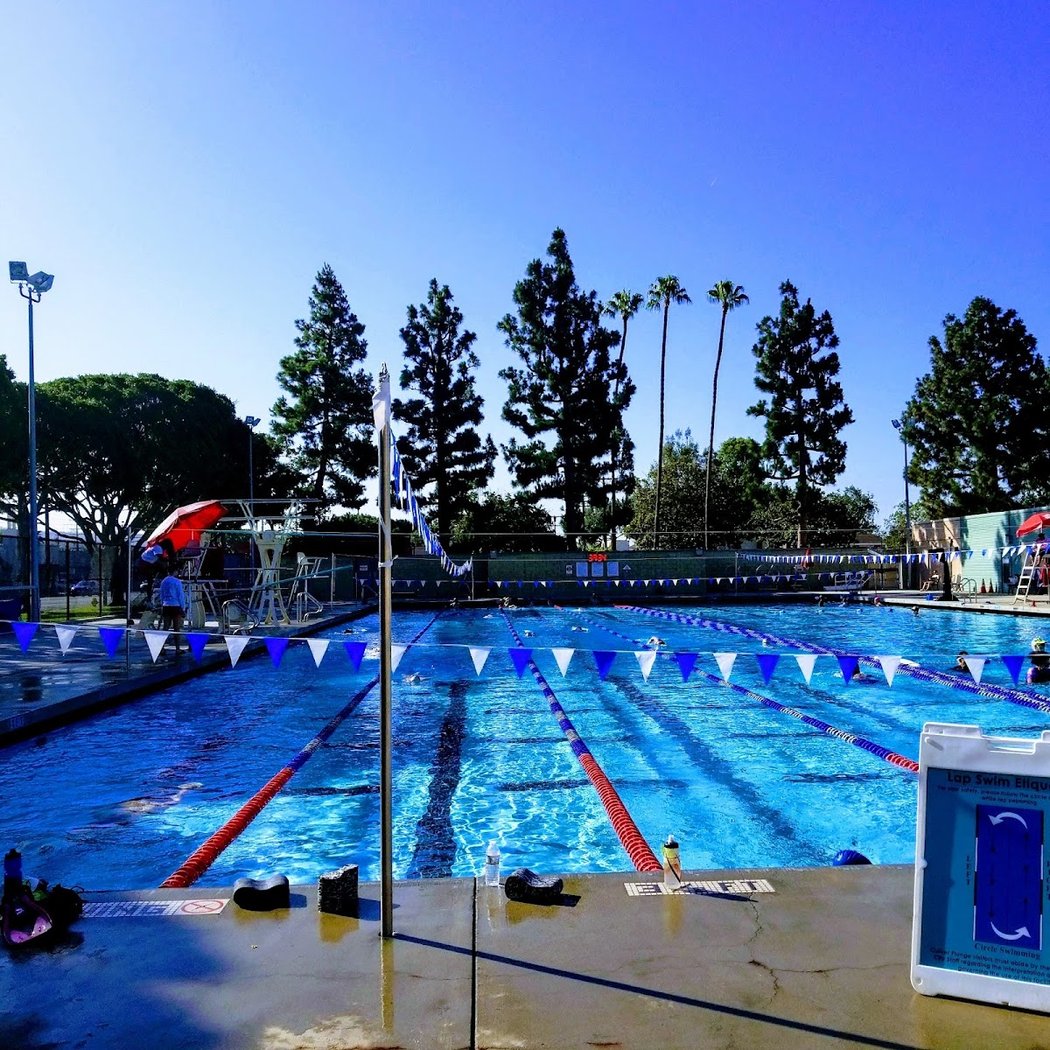 Lap Swim 2