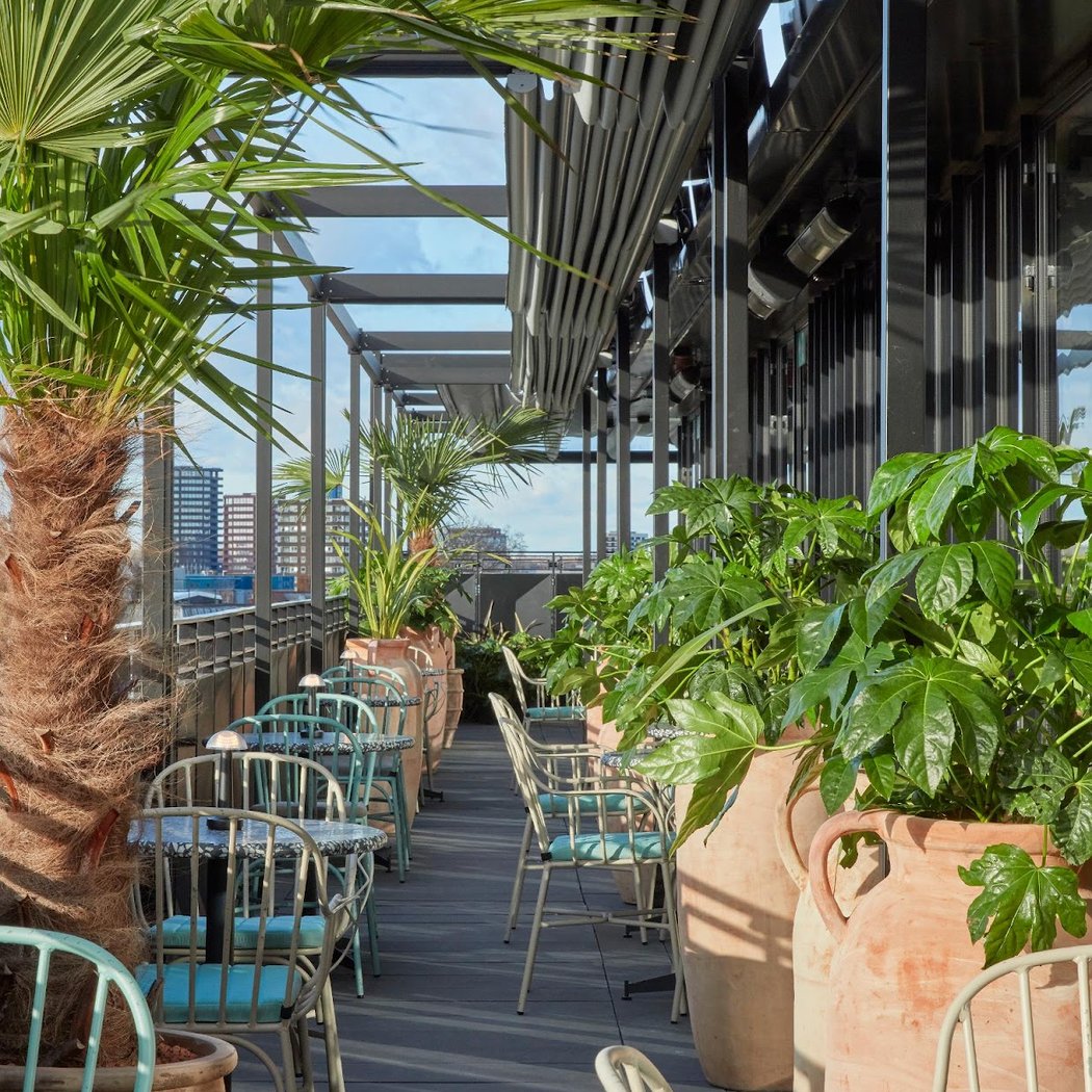 Kaso Rooftop Bar & Kitchen 4