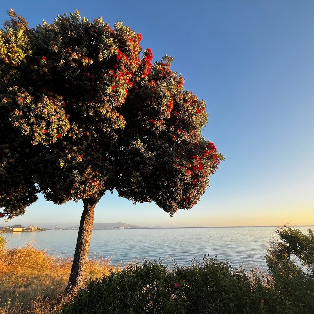 Bay Trail Access 1