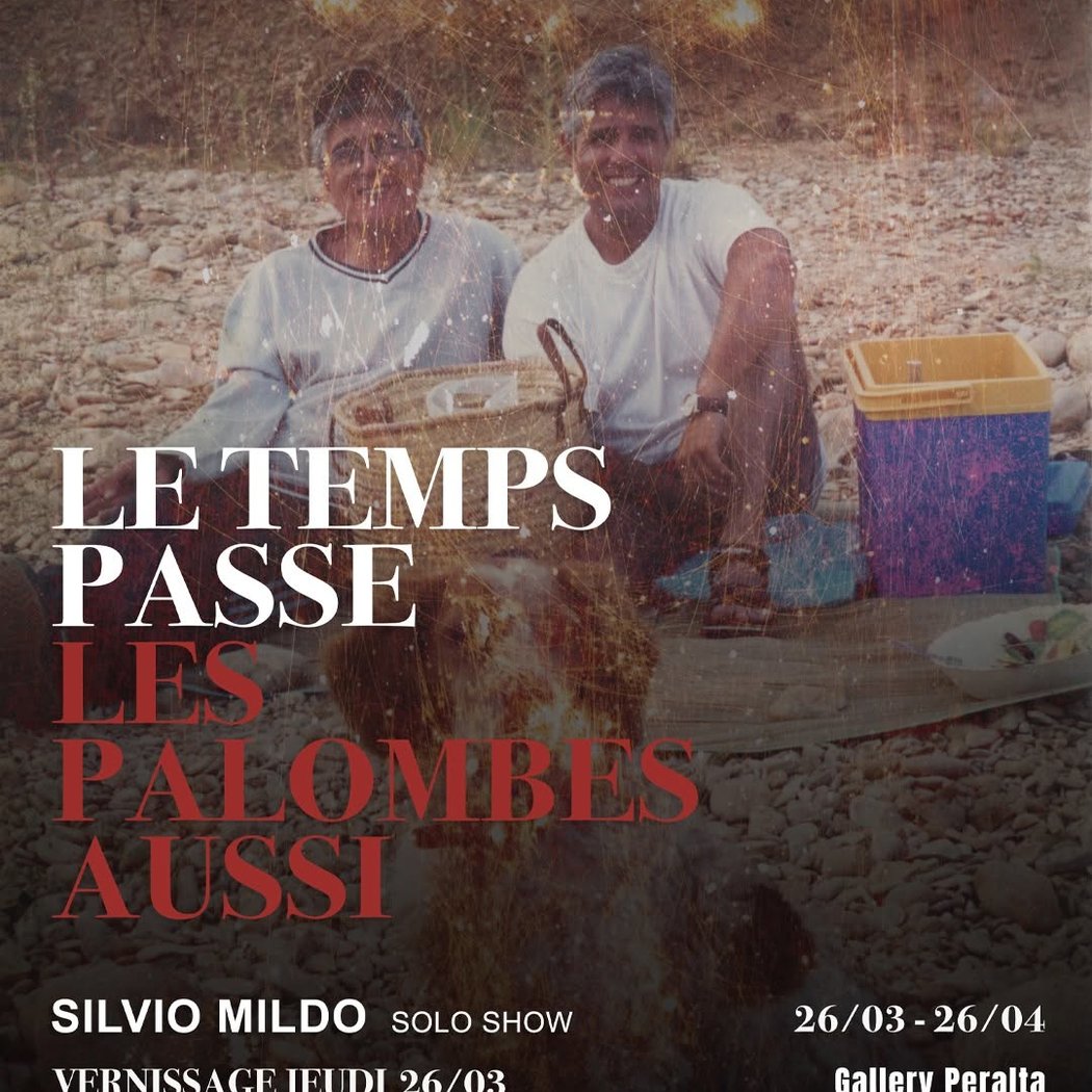 Le temps passe et les palombes aussi 1