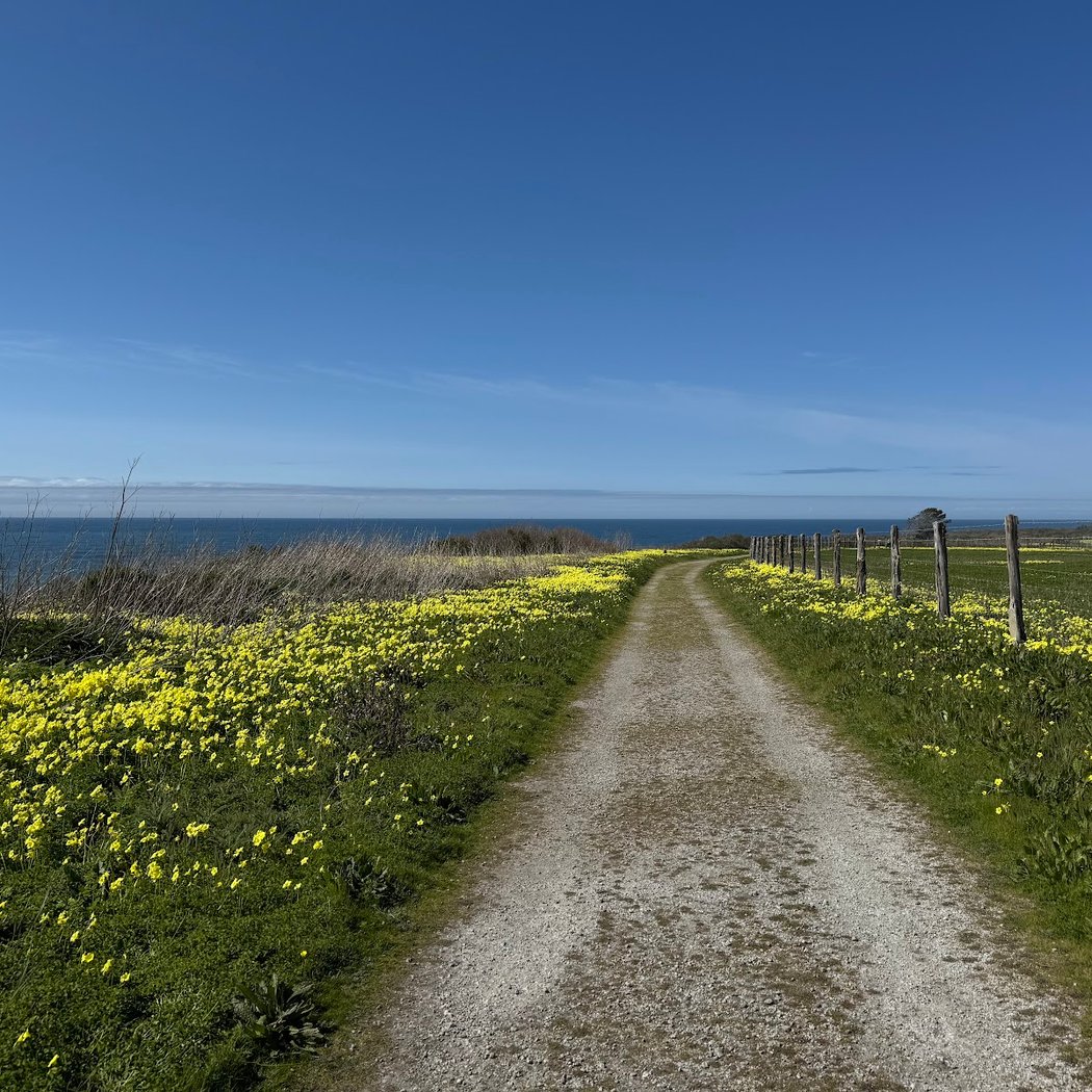 Cowell-Purisima Coastal Trailhead 1