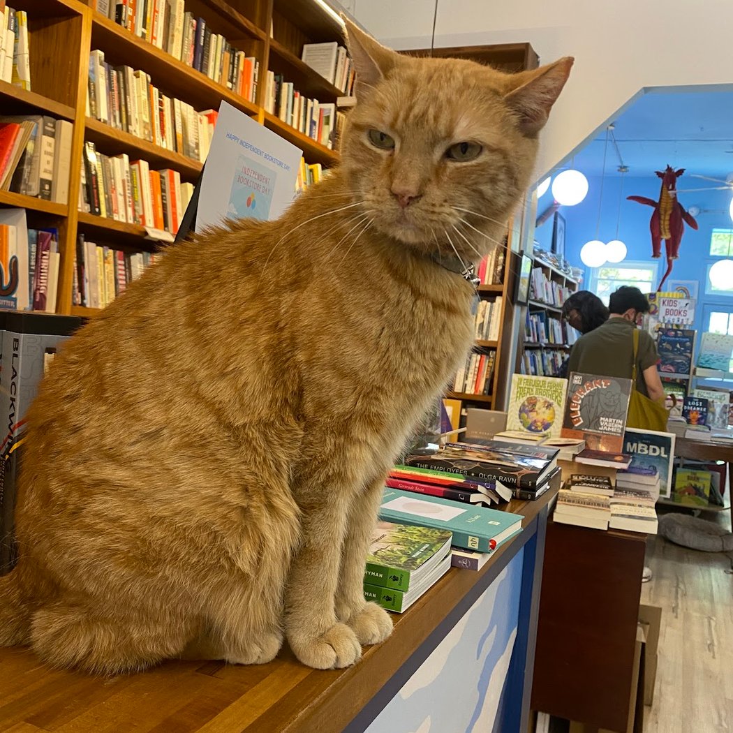 Drawing Night with Summer 1
