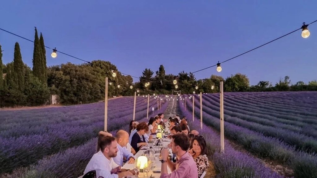 Lavender Night: Pique-Nique Gourmet 1
