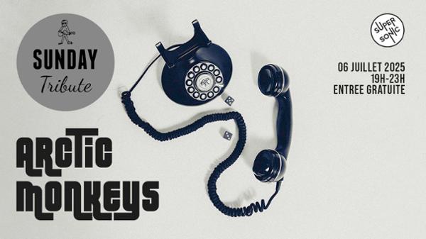Sunday Tribute – Arctic Monkeys 1