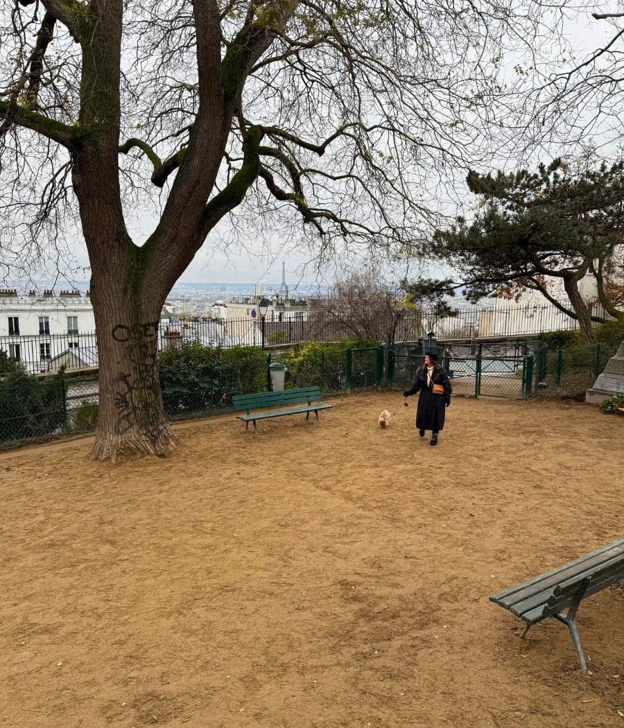 Square Nadar 2